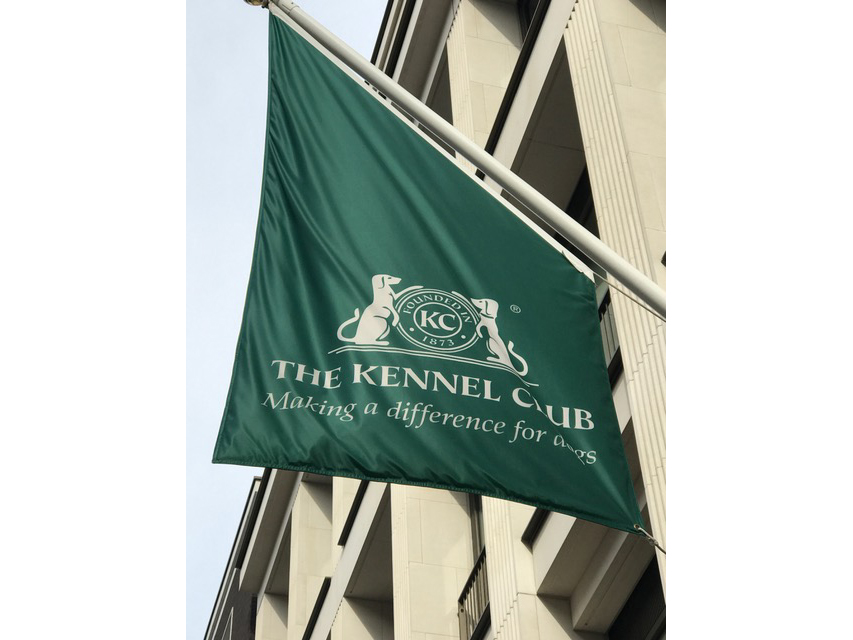 THE KENNEL CLUB