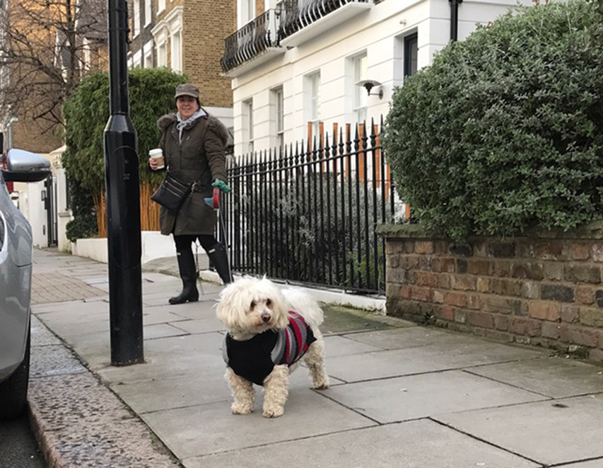 ロンドンで見かけた犬たち