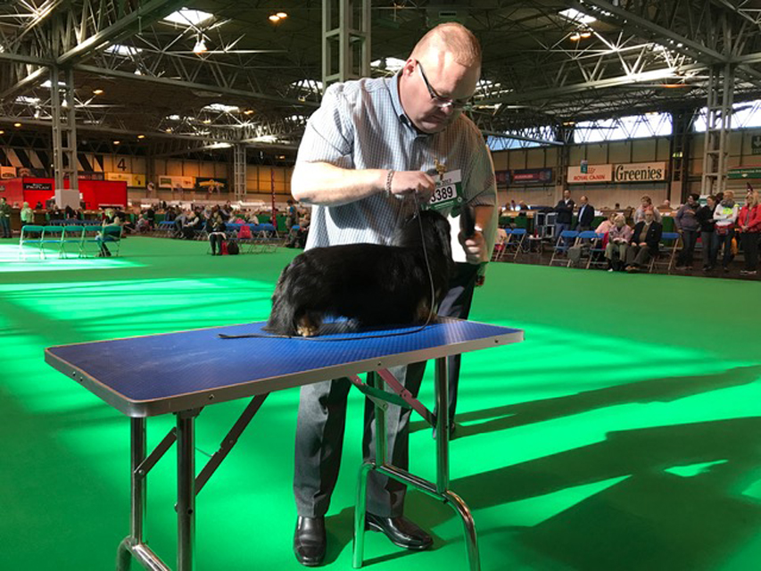 Crufts The World's Largest Dog Show | Events & Competitions003 Crufts The World's Largest Dog Show | Events & Competitions