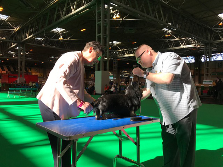 Crufts The World's Largest Dog Show | Events & Competitions004 Crufts The World's Largest Dog Show | Events & Competitions