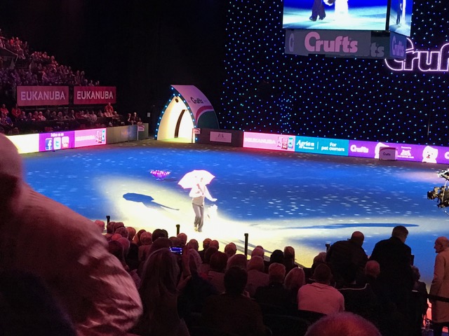 Crufts Best in Show 2017004 Crufts Best in Show 2017