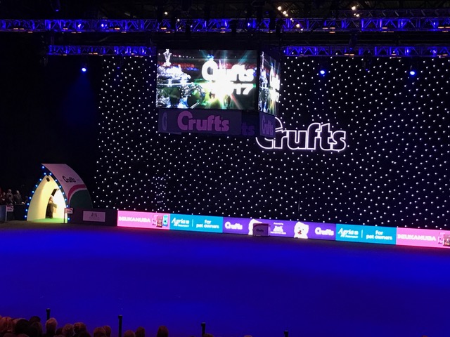 Crufts Best in Show 2017005 Crufts Best in Show 2017