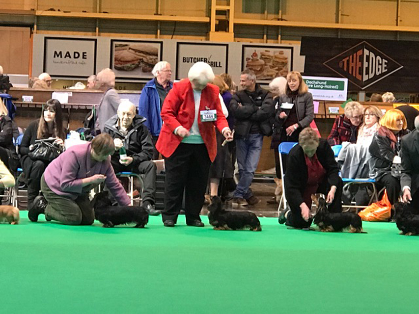 Crufts The World's Largest Dog Show | Events & Competitions