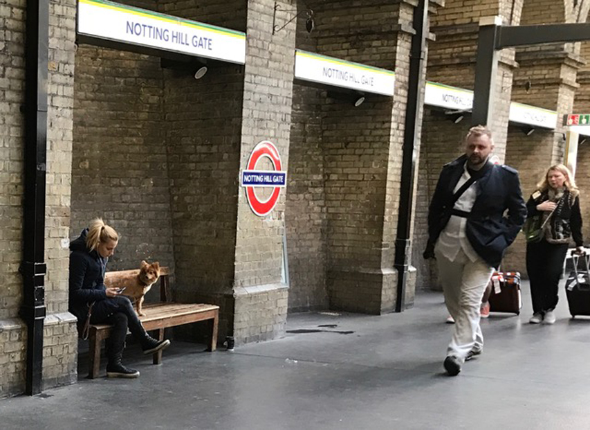 ロンドンで見かけた犬たち006 ロンドンで見かけた犬たち