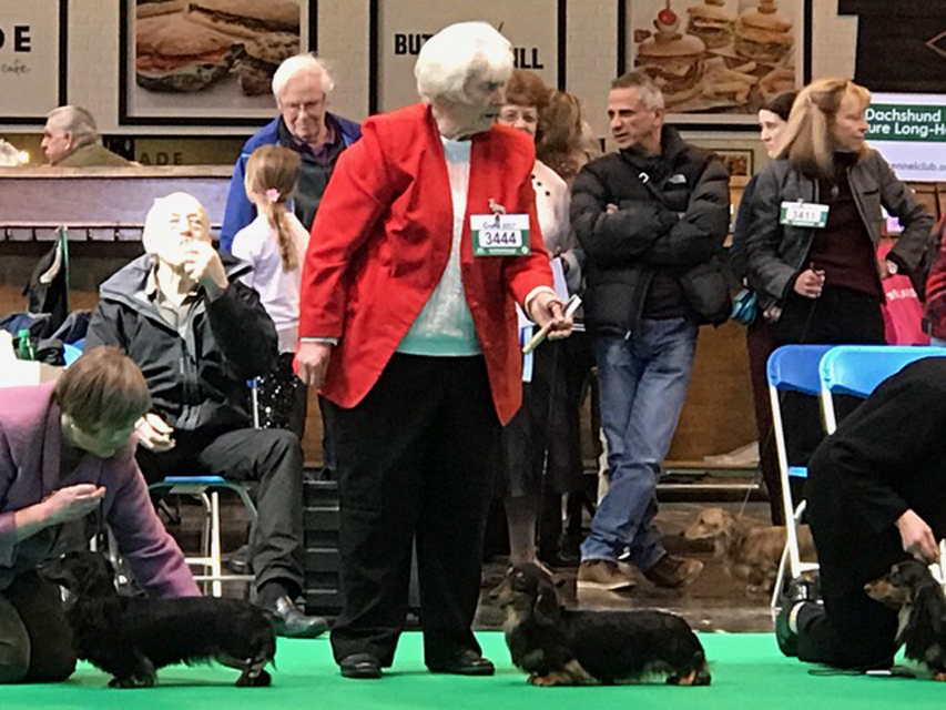 Crufts The World's Largest Dog Show | Events & Competitions