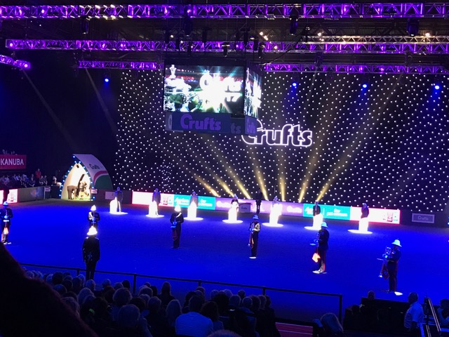 Crufts Best in Show 2017007 Crufts Best in Show 2017