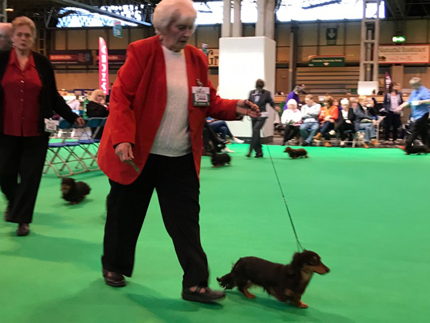 Crufts The World's Largest Dog Show | Events & Competitions