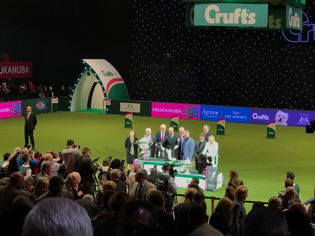 Crufts Best in Show 2017009 Crufts Best in Show 2017