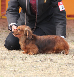 2014.3.1　静岡東クラブ連合会展