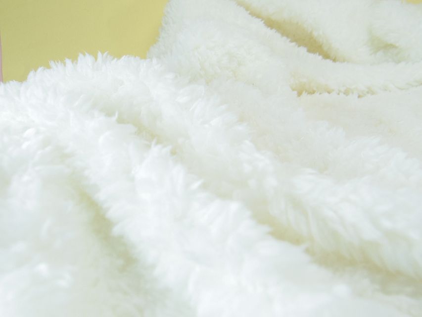 ミニチュアダックス シャーディー & オスカルの赤ちゃん ブラッククリーム 男の子