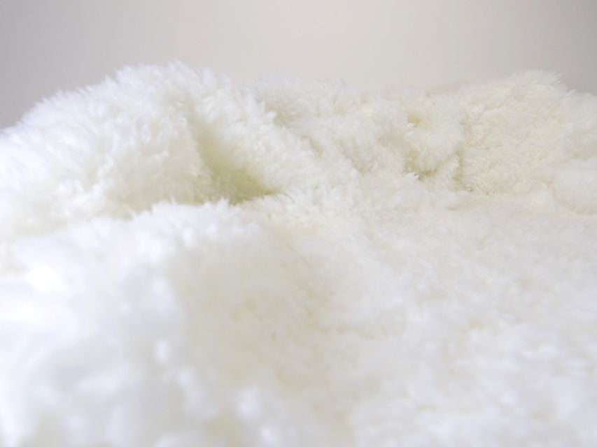 カニンヘン サリー.Tiの赤ちゃん 4/9生まれ  ピュアクリーム 男の子1