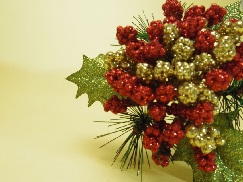 カニンヘン ダックスフンド チェルシー & AQUARIONの子犬 シェーデットクリーム 男の子