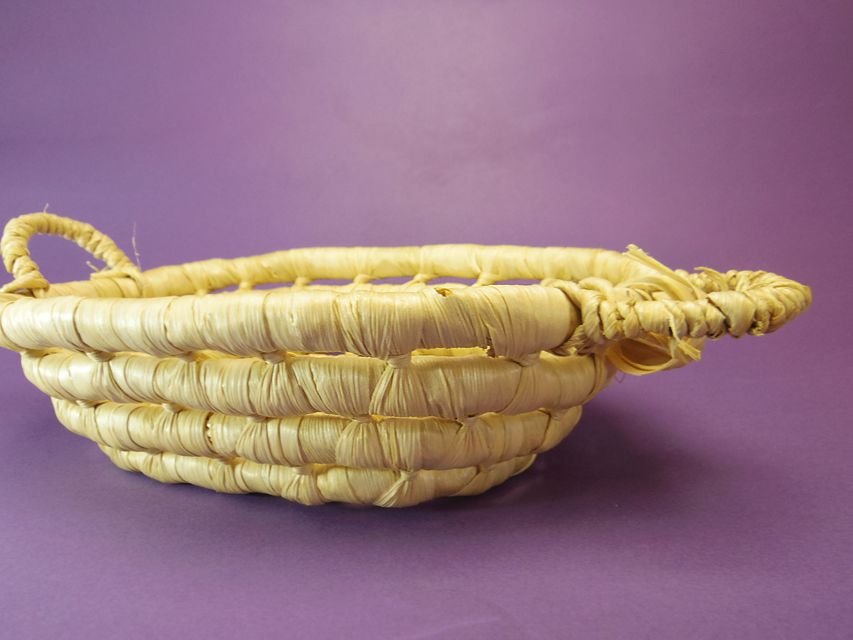 031 ダックスフンド なると & ジムダンディの赤ちゃん シェーデットクリーム 男の子 お写真初登場