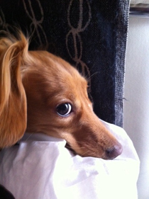 富士フイルム賞