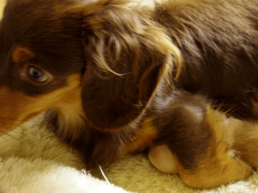 2013.10.25 　コラム出産しました　ゴールド女の子