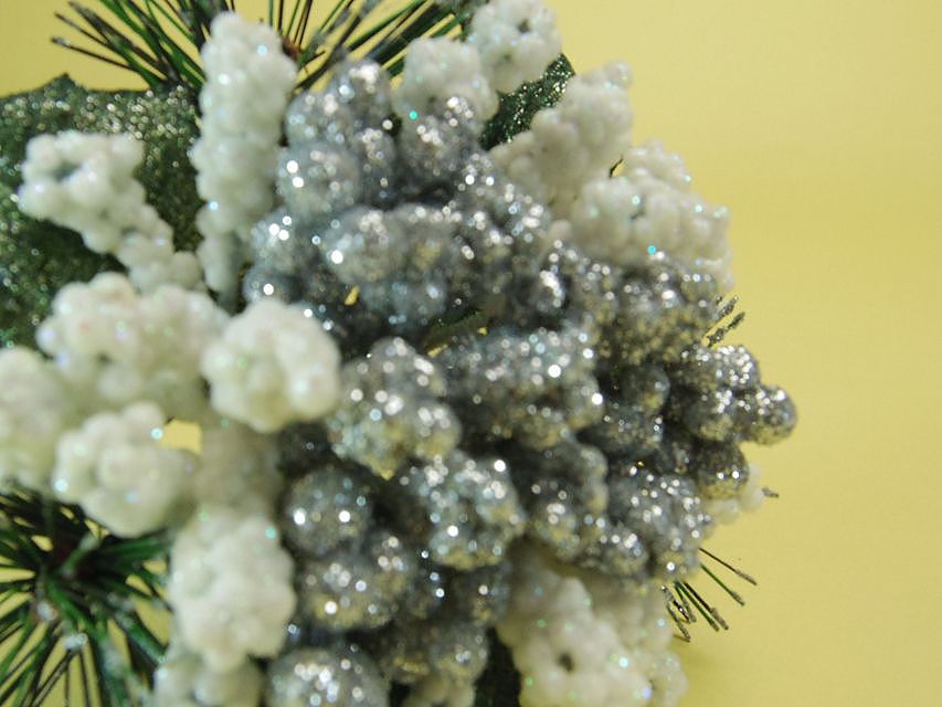 カニンヘン ダックスフンド チェルシー & AQUARIONの子犬 シェーデットレッド 女の子