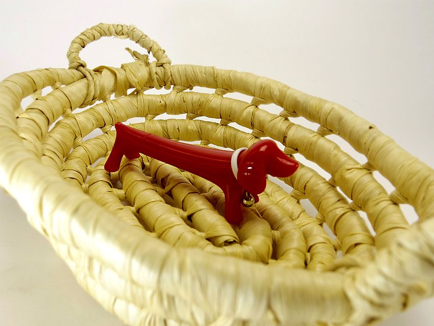 カニンヘン ダックスフンド 子犬 ブラックタン 男の子