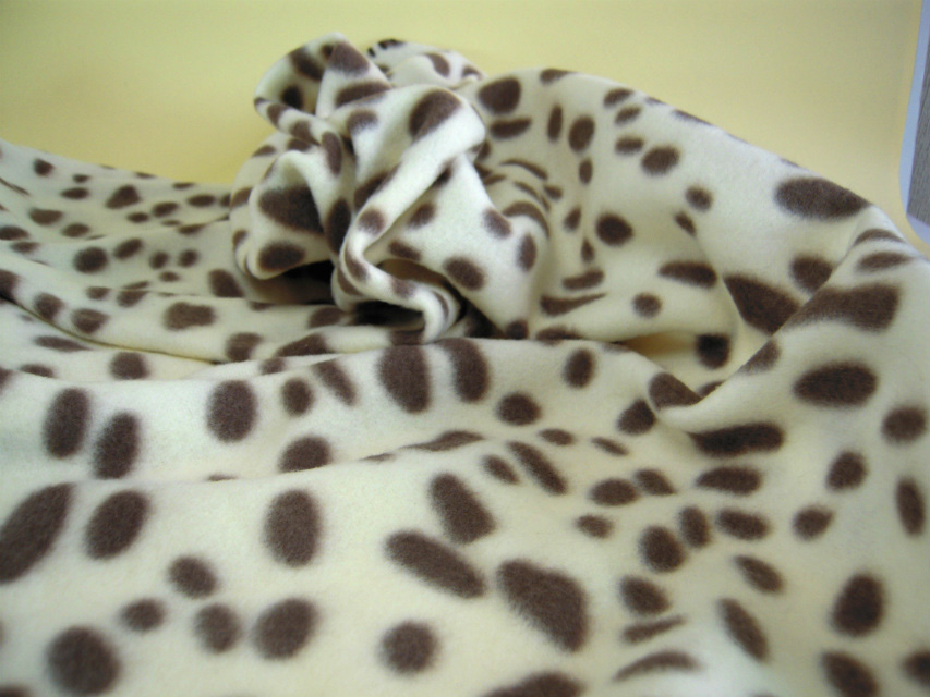 カニンヘン　子犬　チョコクリ女の子