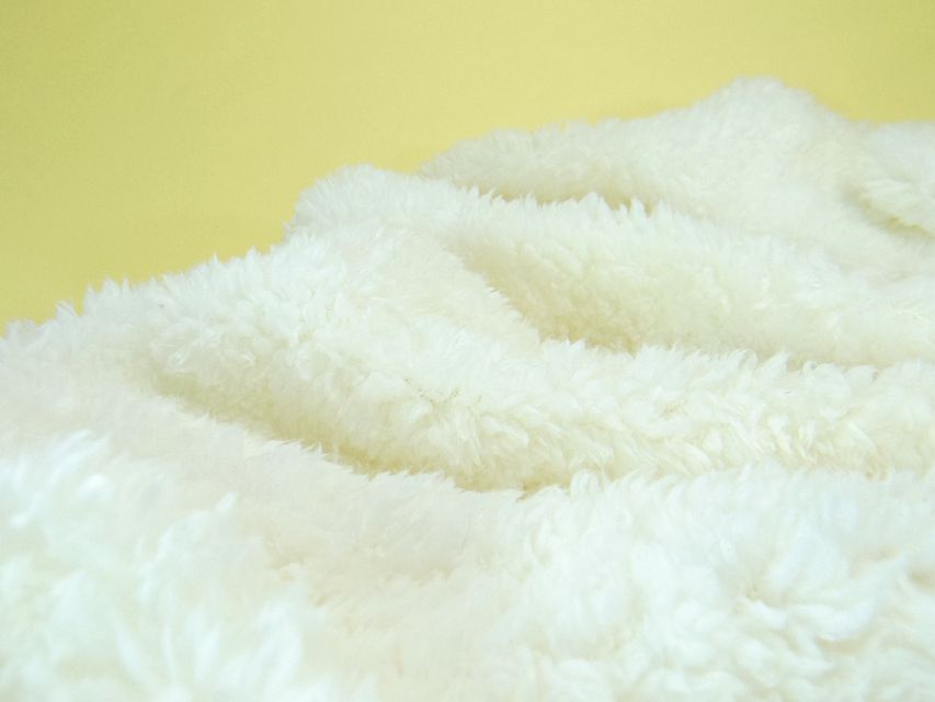 ミニチュアダックス シャーディー & オスカルの赤ちゃん シェーデットクリーム 男の子