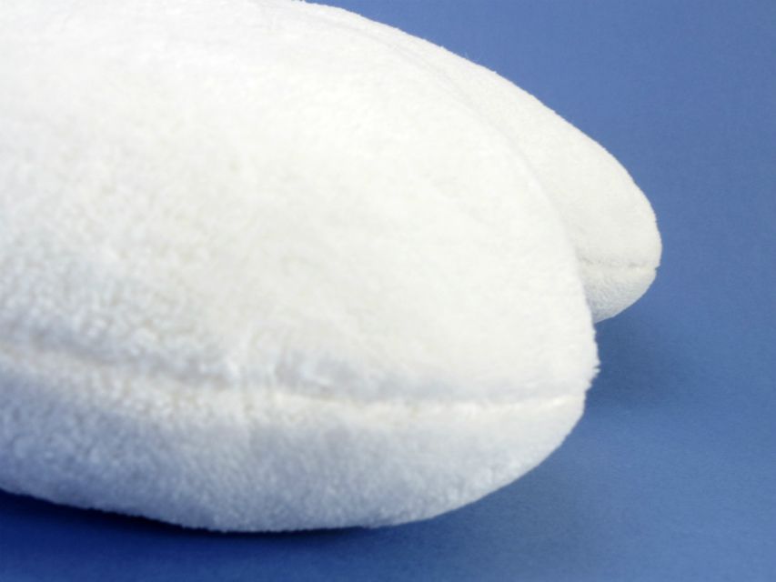 カニンヘン ダックスフンド 子犬 シェーデットクリーム 男の子