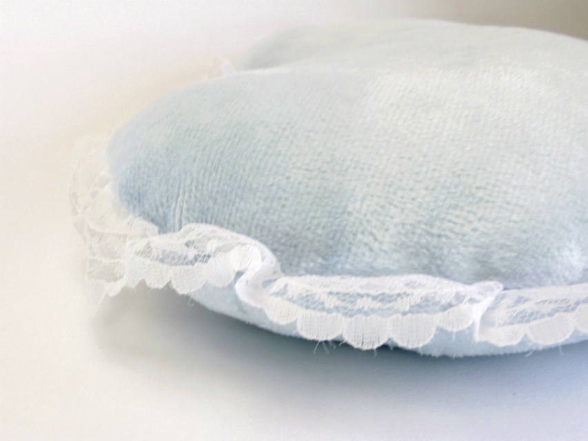 カニンヘン ダックスフンド 子犬 ブラッククリーム 男の子