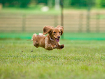 シャッターチャンス賞