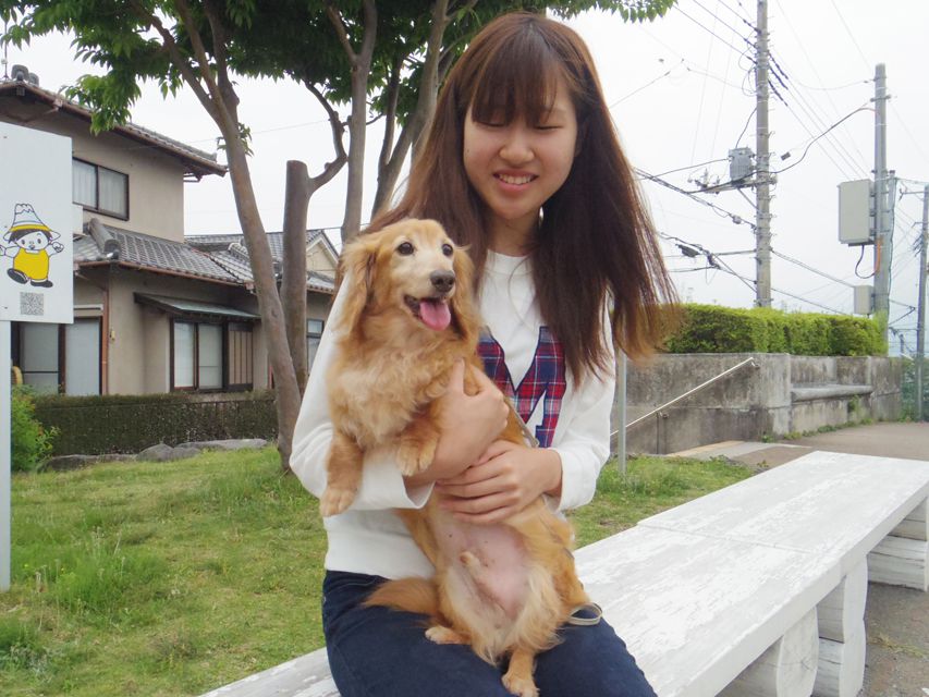 ミニチュアダックス あっくん