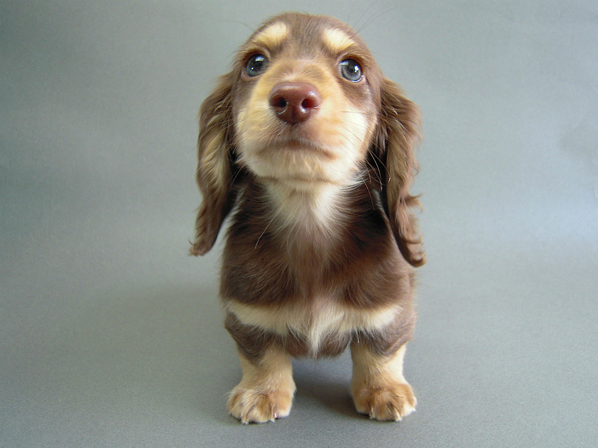 カニヘン チョクリ男の子 カニヘン チョクリ男の子