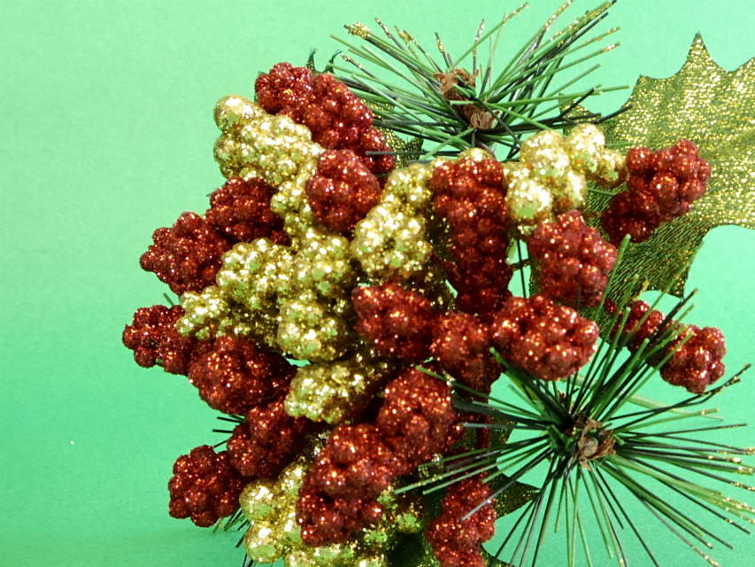 カニヘンダックス　子犬　ブラックタン女の子