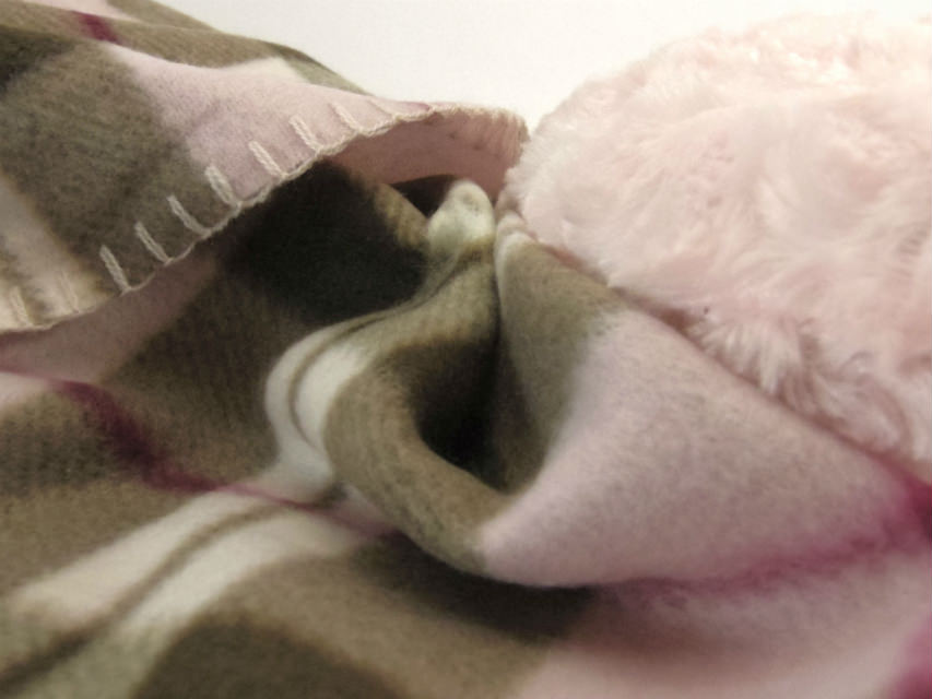 カニンヘン ダックスフンド 子犬 シェーデットレット 男の子