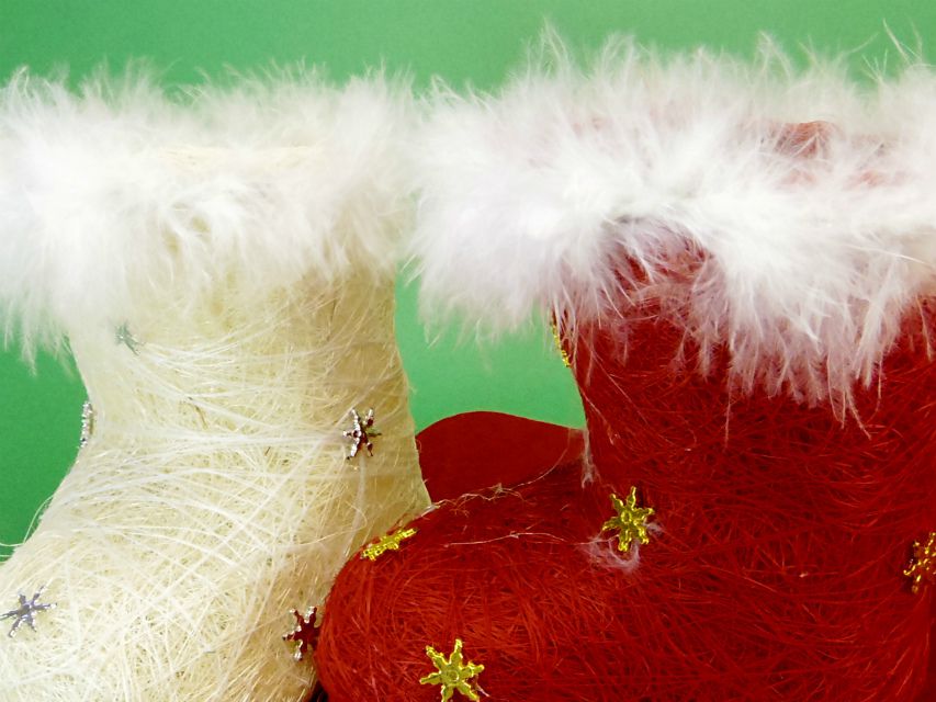 カニンヘンダックス　子犬　ブラック＆クリーム男の子