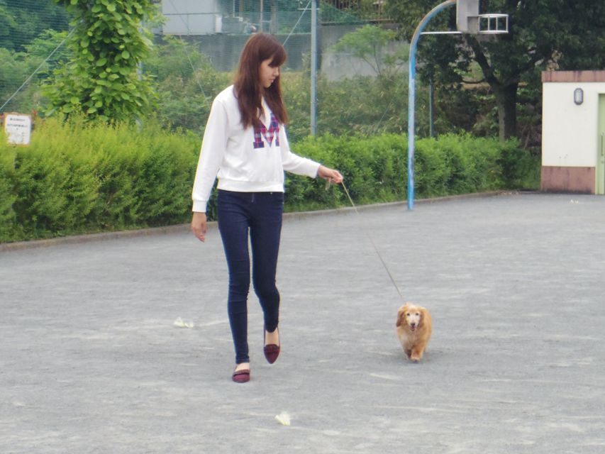 ミニチュアダックス あっくん