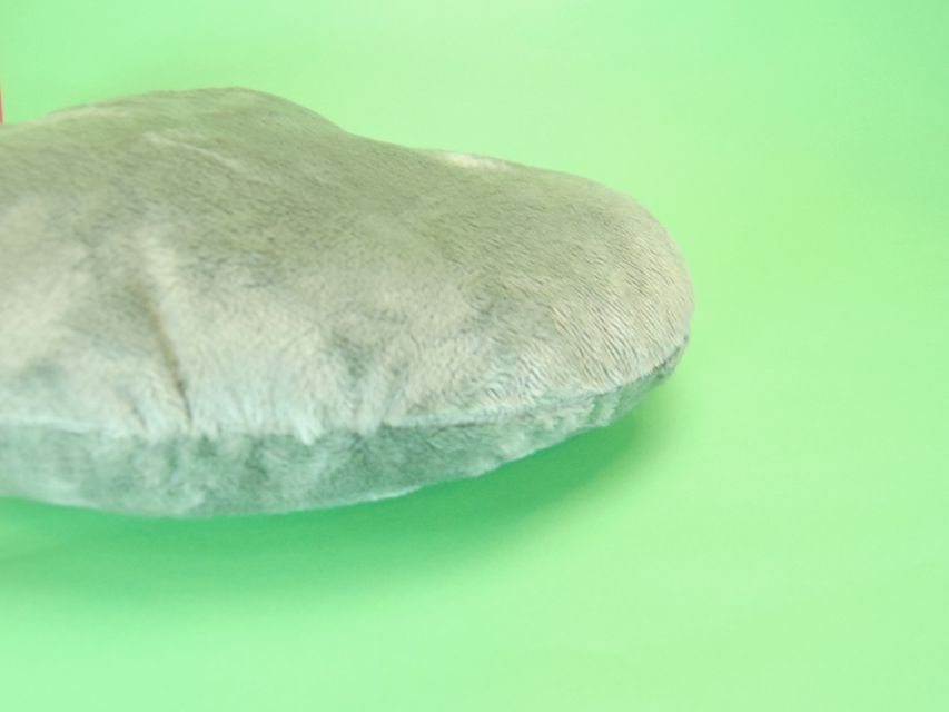 ダックスフンド ピノ & アレックスの子犬 ブラッククリーム 男の子