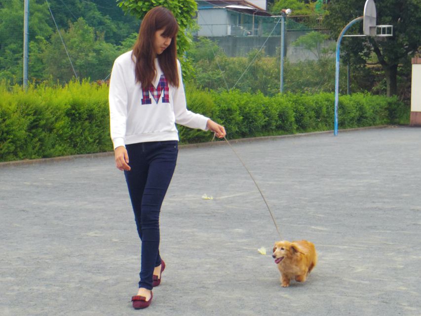 ミニチュアダックス あっくん