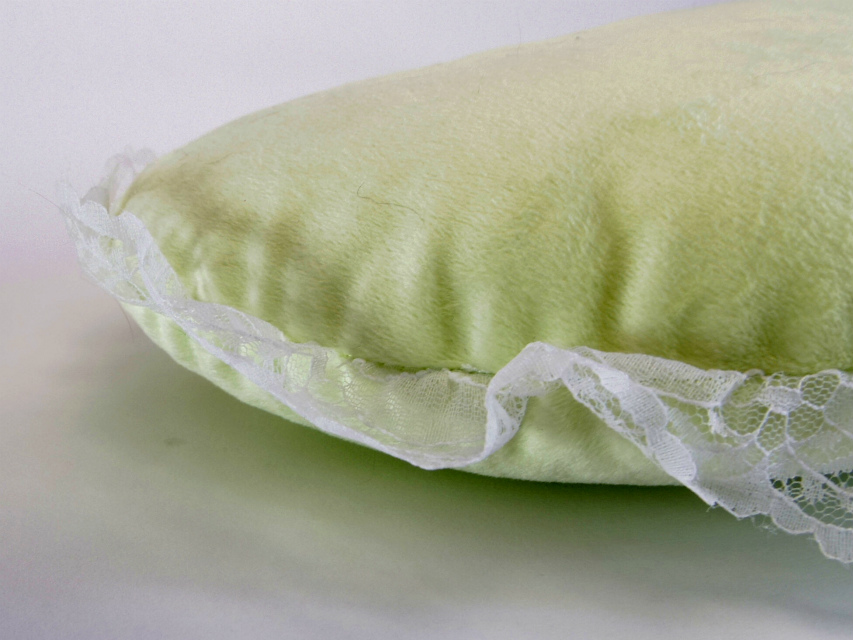 カニンヘン ダックスフンド 子犬 ブラッククリーム 男の子 カニンヘン ダックスフンド 子犬 ブラッククリーム 男の子