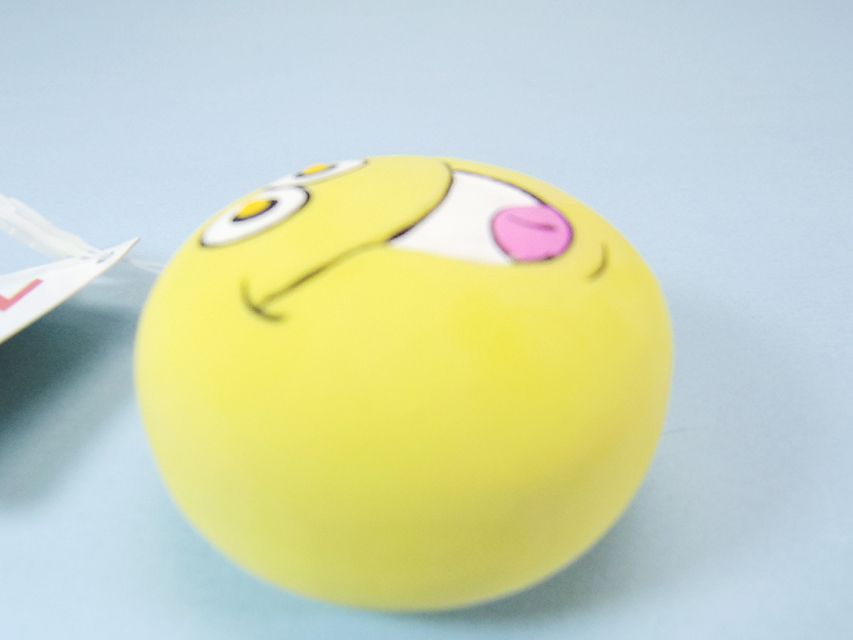 ダックスフンド キュリ & ミントの子犬 ブラックタン 男の子