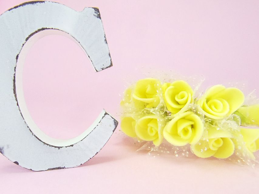 ダックスフンド ルヒィ & ジムダンディの子犬 ブラタン 女の子② お写真初登場