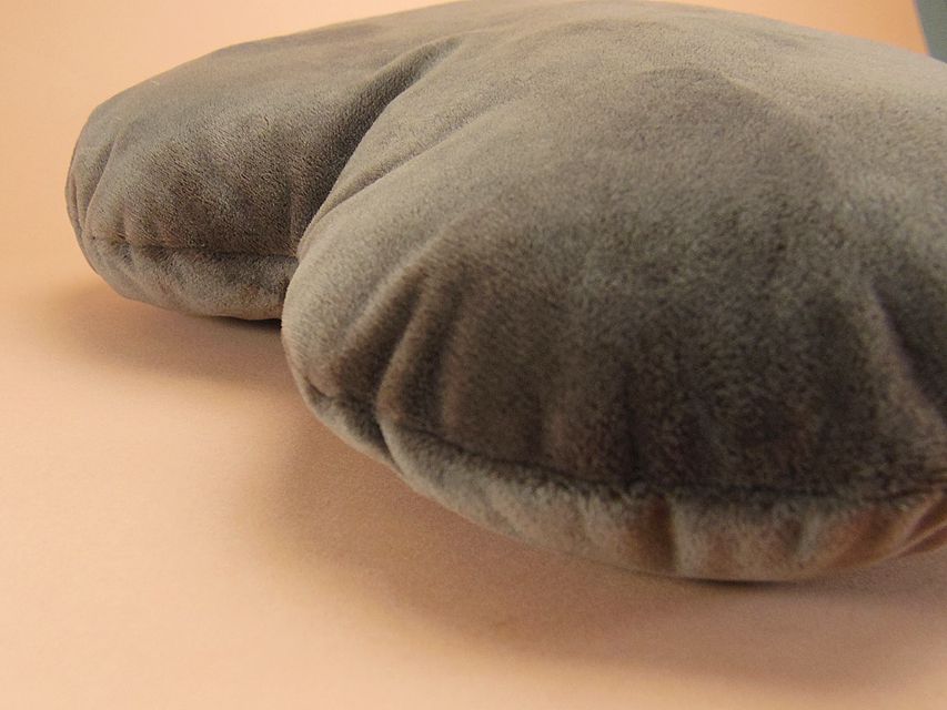 0ダックスフンド カニンヘン SHELLY.mi & オスカルの子犬 シェーデットクリーム 女の子 ②147 ダックスフンド カニンヘン SHELLY.mi & オスカルの子犬 シェーデットクリーム 女の子 ②