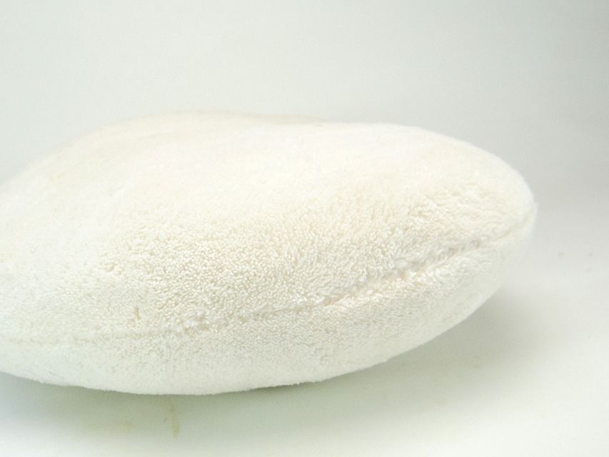 ミニチュアダックス シャーディー & オスカルの赤ちゃん シェーデットクリーム 女の子