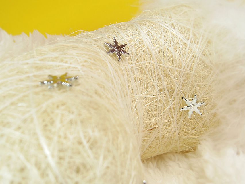 ダックスフンド ふたば & たけるの子犬 シェーデットレッド 女の子③