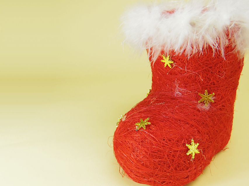 ダックスフンド ソルト & MONKEY D. LUFFYの子犬 ブラックタン 男の子