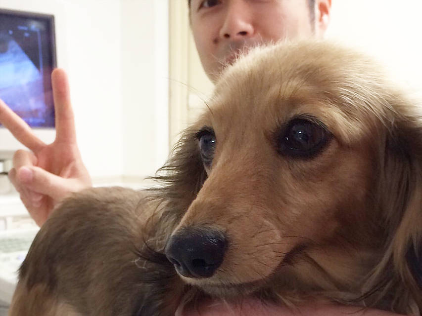 キュリ エコー検査