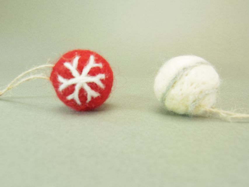 ダックスフンド ゆず & ジムダンディの子犬 シェーデットレッド 女の子