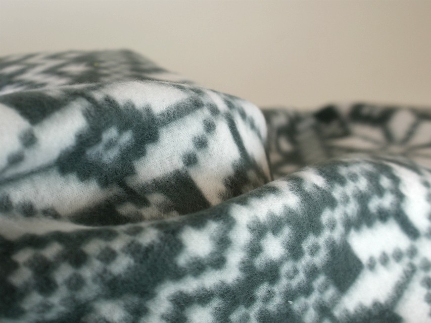 カニヘン 子犬 ブラタン男の子 カニヘン 子犬 ブラタン男の子