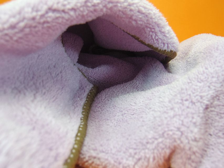 ダックスフンド ハッピーベル & 武蔵の子犬 チョコクリーム 女の子