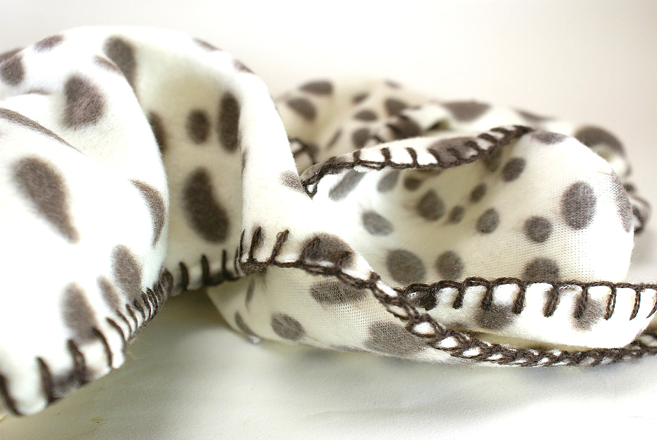 カニヘン 子犬 ブラタン女の子 カニヘン 子犬 ブラタン女の子