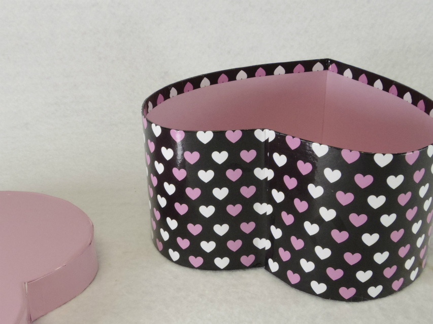 カニンヘンダックス　子犬　ブラクリ男の子