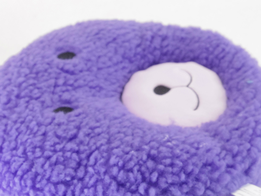 ミニチュアダックス ブラクリ女の子 ミニチュアダックス ブラクリ女の子