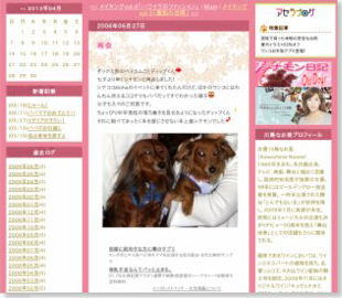 川島なお美の愛犬日記: 再会 川島なお美の愛犬日記: 再会