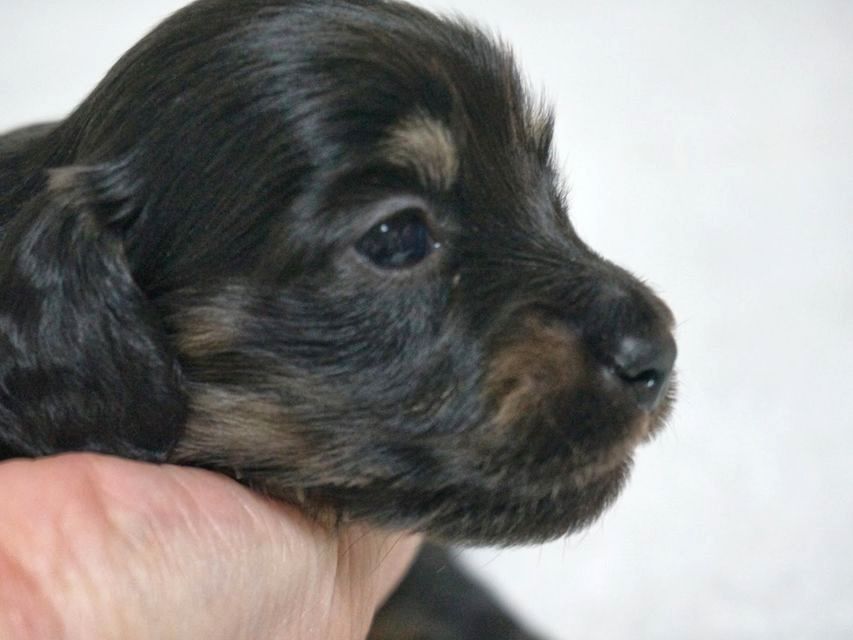 リズ.Sの子 ブラック系女の子